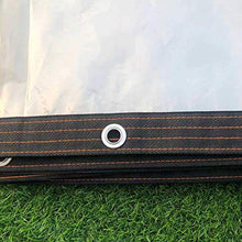 Telone e Telo Copertura Protezione Contro La Pioggia del Giardino,Multiuso Trasparente Impermeabile Tela,Tenda da Pioggia di Plastica, Inverno Antigelo PE Morbido Film per Piante (5x10m/16.4x32.8ft)