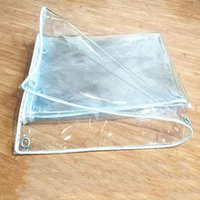 LITINGFC Trasparente Telone Tenda Antipioggia con Copertura di Fiori per Balcone Esterno in PVC da 0,5 Mm Pieghevole, con Occhielli, 9 Taglie (Color : Clear, Size : 1.0X1.5M)