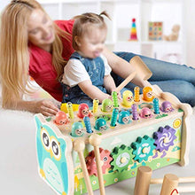 Giocattolo multifunzionale del criceto, gioco di pesca/cattura Bugs 3-6 anni Neonati e bambini giocattoli di educazione precoce, regali di compleanno per bambini
