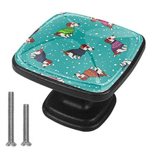 Capodanno del cane e maglioni colorati Pomelli per Porta Set di 4 Pomelli per Mobili Manopole per Cassetti Cucina Armadio Vetro