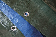 VERDELOOK Telo occhiellato Multiuso in polietilene, 5x4 m, Verde/Blu, coperture