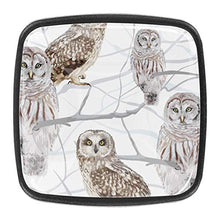 Gufo animale 4 PCS Pomelli per Porta, Pomolo per Mobile, Pomelli per Mobili con Viti, Maniglia per Armadietto, Pomelli per Porta, Pomelli per Cassetti per Porta, Armadio, Cassetto e Credenza