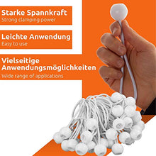 ECENCE 25x Gommini di tensionamento, Set di Corde Elastiche per Fissaggio per teloni, Anelli espansori con Gancio a Sfera di plastica, Corde Elastiche espansori per teloni, Bianco