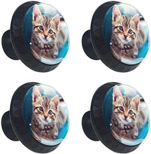 Gattino a strisce grigio Pomelli per Porta Set di 4 Pomelli per Mobili Manopole per Cassetti Cucina Armadio Vetro
