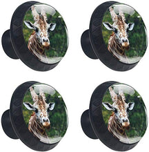 Zoo di giraffa animale della natura Pomelli per Porta Set di 4 Pomelli per Mobili Manopole per Cassetti Cucina Armadio Vetro