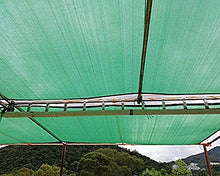 WXQIANG Patio/Tenda/Finestra di Shade Verde della Copertura sulla Schermo del recinto con Antivento e l'80% UV Block, saracinesche Netto Vele for Pergola Garden Protezione Protezione Solare, Isola