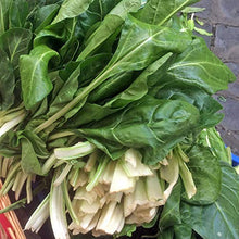 Piccola selezione di verdure dall'Asia - set di semi con 4 verdure asiatiche tipiche per wok e vaporiera