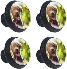Sole felice del piccolo cane nero sveglio Pomelli per Porta Set di 4 Pomelli per Mobili Manopole per Cassetti Cucina Armadio Vetro