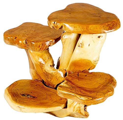 Windalf Naturale - Panchina per fiori con 4 ripiani Kalytta 78 cm, in legno di radice