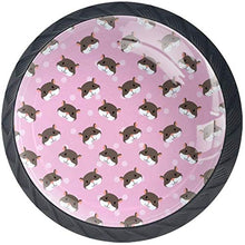 Simpatico criceto testa modello rosa Pomelli per Porta Set di 4 Pomelli per Mobili Manopole per Cassetti Cucina Armadio Vetro