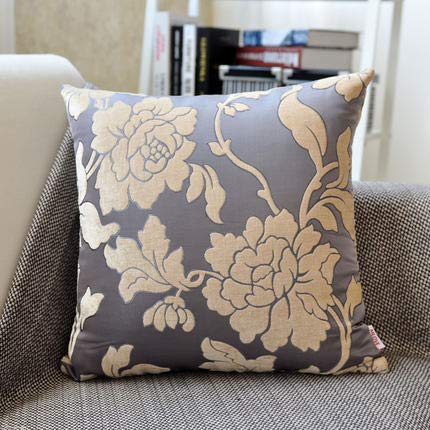 XMZFQ Cuscino da tiro in ciniglia con Inserti in Cotone PP, Cuscino Decorativo Quadrato Morbido 18x18 Pollici, Divano in Vita, Sedia da Ufficio, Cuscino da tiro Decorativo per Auto da Bar, Set di 2,B