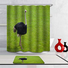 LIYAN Combinazione Bagno. Immagini Chiare E Colori Vivaci Rendono Il Tuo Bagno Pieno di Vita. Accessori da Bagno. Struzzo Sull'Erba.
