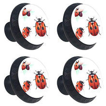 coccinella 4 PCS Pomelli per Porta, Pomolo per Mobile, Pomelli per Mobili con Viti, Maniglia per Armadietto, Pomelli per Porta, Pomelli per Cassetti per Porta, Armadio, Cassetto e Credenza
