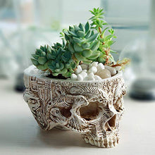 Vaso di fiori di teschio intagliato vaso di fiori di teschio intagliato vaso di fiori del cranio intagliato-White