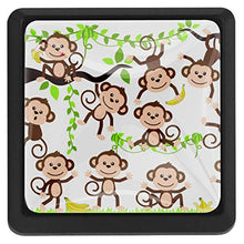 Scimmie in giro 3 PCS Pomelli per Porta, Pomolo per Mobile, Pomelli per Mobili con Viti, Maniglia per Armadietto, Pomelli per Porta, Pomelli per Cassetti per Porta, Armadio, Cassetto e Credenza