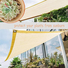N / A Anti UV Tende da Sole, Esterni Giardino Balcone Traspirante Rete Ombreggiante, Polietilene Rettangolare Protezione Solare Tenda A Vela, 3 Dimensioni LvMyShe (Color : Beige, Size : 2x3m)