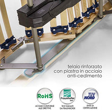 Goldflex Rete Dalia Motore Piazza E Mezza 120x190 Ortopedica Elettrica Due Motori Alzata Testa Piedi Indipendente Regolazione Rigidità Dispositivo Medico Detrabile Made in Italy