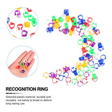 Cabilock 200Pcs Anelli di Piccione Vuoti Anello Colorato Piede Anello Gestione degli Uccelli Piccione Anello di Quaglia Strumenti di Alimentazione degli Animali Colorati