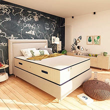 Baldiflex Emporio Materasso Matrimoniale 800 Molle Insacchettate, Buon Risveglio, 160x190cm