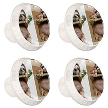 Maniglie per cassetti Manopole per cassetti Manopole rotonde Confezione da 4 per armadietto, cassetti, cassettiere, cassettiere ecc. bradipo