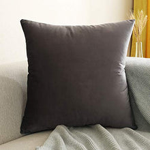 LBLQWE Cuscino per Ufficio, Cuscino in Peluche Tinta Unita, Ipoallergenico e Antipolvere, Cuscini Morbidi di qualità per Hotel, Velluto-Grey