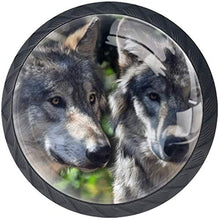Grey Wolf Two Wolves Wild Pomelli per Porta Set di 4 Pomelli per Mobili Manopole per Cassetti Cucina Armadio Vetro