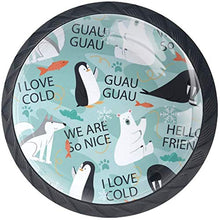 Doodle pesce orso pinguino Wolf Penguin Fish Words Pomelli per Porta Set di 4 Pomelli per Mobili Manopole per Cassetti Cucina Armadio Vetro