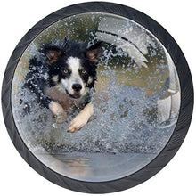 Border Collie Jump Water Pomelli per Porta Set di 4 Pomelli per Mobili Manopole per Cassetti Cucina Armadio Vetro