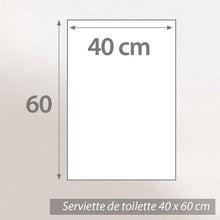 Linnea Asciugamano 40x60 cm Royal Cresent Grigio Platino 650 g/m2