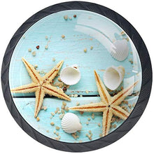 Stella Marina Conchiglia Su Teal In Legno Pomelli per Porta Set di 4 Pomelli per Mobili Manopole per Cassetti Cucina Armadio Vetro