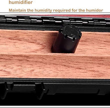 Gymqian Prodotti per la Casa Portatile Viaggio Portatile Cedar Legno Custodari Di Sigaro, Sigaro Impermeabile Sigillato Humidor con Umidificatori, Scatola Umidificatrice Armadio Idr