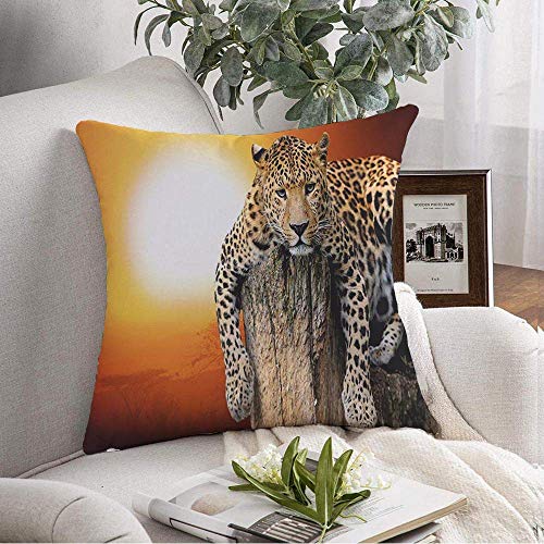 Kris.D Copertura Decorativa del Cuscino di tiro Leopardo Rosso Tramonto Che Si siede sull'albero Animali Fauna Selvatica Natura Colorful Safari nella Giungla Africana Africa18x18 Pollici