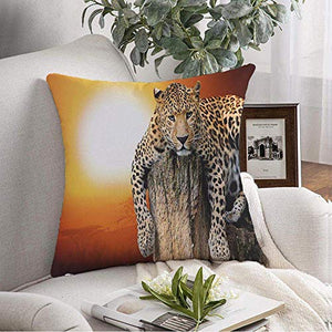 Kris.D Copertura Decorativa del Cuscino di tiro Leopardo Rosso Tramonto Che Si siede sull'albero Animali Fauna Selvatica Natura Colorful Safari nella Giungla Africana Africa18x18 Pollici