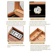 Adminitto88 Armadio per Humidor Scatola di Sigari Cedro in Legno di Grande capacità in Acciaio Verniciato A 3 Strati Termostato per Sigari Scatola per Sigari Scatola per Sigari