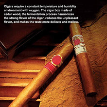 Gymqian Humides Portatile Sigaro Scatola Ufficio Sigaro Cedar Legno Cigar Stoccaggio Scatola Di Stoccaggio per Pianoforte, Può Contenere 25 Sigari Usscale. / Schwarz / 26.5x21.5x7cm