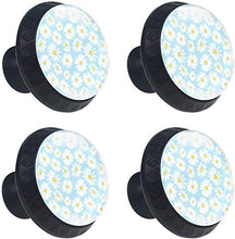 Little Daisy White Flowers Azzurro Pomelli per Porta Set di 4 Pomelli per Mobili Manopole per Cassetti Cucina Armadio Vetro