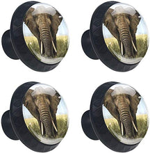 Prateria africana Grey Elephant Large Pomelli per Porta Set di 4 Pomelli per Mobili Manopole per Cassetti Cucina Armadio Vetro