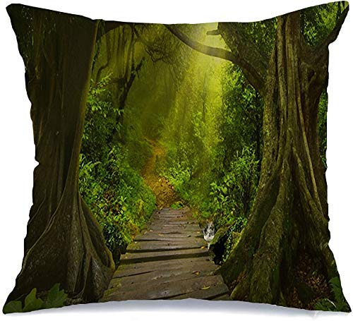 Copridivani Cuscini DivanoNebbia Meteo Mattina Abete Giungla asiatica Natura Parchi incontaminati Design esterno Palm Moss Bamboo Wood copricuscini 45X45CM