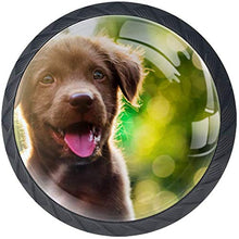 Sole felice del piccolo cane nero sveglio Pomelli per Porta Set di 4 Pomelli per Mobili Manopole per Cassetti Cucina Armadio Vetro