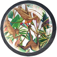 Scimmia della giungla tropicale Pomelli per Porta Set di 4 Pomelli per Mobili Manopole per Cassetti Cucina Armadio Vetro