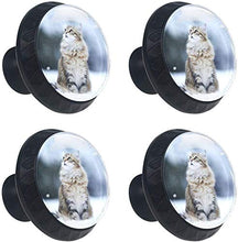 Cat Snow Eyes Pomelli per Porta Set di 4 Pomelli per Mobili Manopole per Cassetti Cucina Armadio Vetro