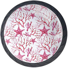 Modello rosa Starfishes di corallo dell'acquerello Pomelli per Porta Set di 4 Pomelli per Mobili Manopole per Cassetti Cucina Armadio Vetro
