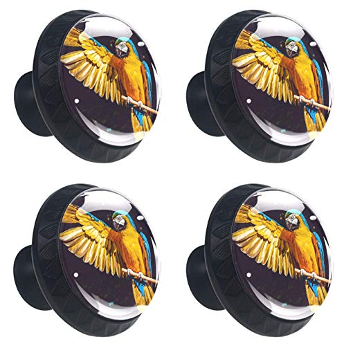 Set di 4 maniglie rotonde per armadio da cucina, credenza, cassettiera, cassettiera, con viti, per cucina, comò, armadietto, bagno, armadio, pappagallo