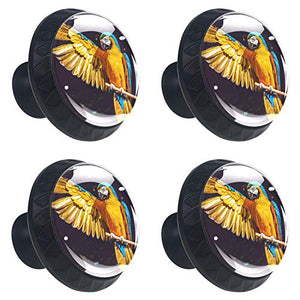 Set di 4 maniglie rotonde per armadio da cucina, credenza, cassettiera, cassettiera, con viti, per cucina, comò, armadietto, bagno, armadio, pappagallo