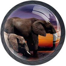 Elefanti nella savana africana Pomelli per Porta Set di 4 Pomelli per Mobili Manopole per Cassetti Cucina Armadio Vetro
