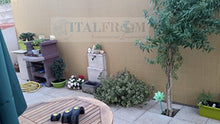 ITALFROM Arelle in stuoia Canna Bamboo Arella PVC Singola Naturale Recinzione Separè Rotolo H 100 X 300 cm 4993