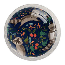 Maniglie per cassetti Manopole per cassetti Manopole rotonde Confezione da 4 per armadietto, cassetti, cassettiere, cassettiere ecc - procione