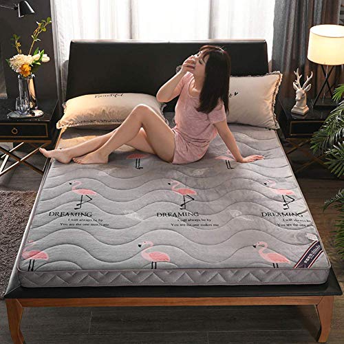 GJJSZ Materasso per Materasso Traspirante,Materasso Trapuntato in Flanella,Cuscino futon Giapponese,coprimaterasso Pieghevole Spesso,coprimaterasso in Velluto per dormitorio Domestico-h Twin