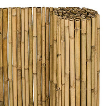 Sol Royal Frangivista e Frangivento in Bambú 150x250cm (AxL) SolVision B38 Stuoia in Canne Spesse di Bamboo Premium - Arella Naturale per Giardini e Balconi - Schermo Privacy Naturale
