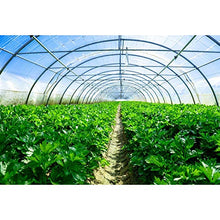 GDMING Blu Film Serra, Impermeabile Robusto Giardino Politene Fogli di Plastica, Trasparente Protezione Solare Agricoltura Copertina per Impianti Fiore, Personalizzabile